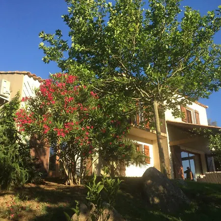 Amuri Villa