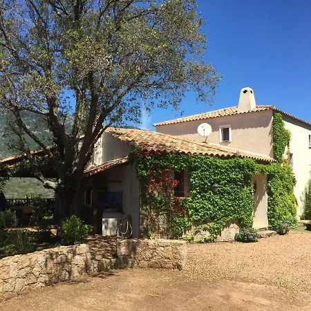 Amuri Villa Sotta