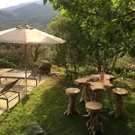 Villa Amuri *