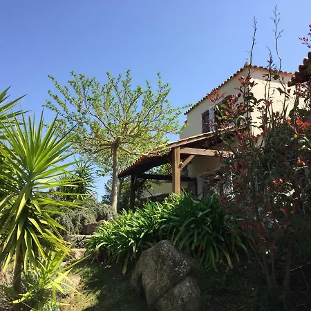 Villa Amuri Sotta